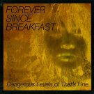 Dangerous Levels of That's Fine [LP] - VINYL