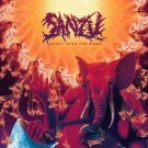 Heavy Over the Home [Orange Vinyl] [LP] - VINYL