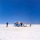 Circus Animals [LP] - VINYL