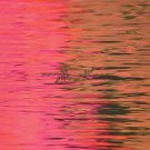 Dead Reflection [LP] - VINYL