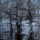 Nansemond [LP] - VINYL