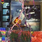 Magic Windows, Magic Nights [LP] - VINYL