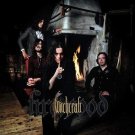 Firewood [LP] - VINYL