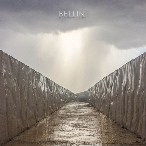 Before the Day Has Gone [LP] - VINYL