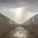 Before the Day Has Gone [LP] - VINYL