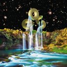 Vibration Animal Sex Brain Music [LP] - VINYL