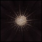In the Hollows [LP] - VINYL