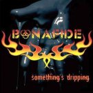 Something's Dripping [LP] - VINYL