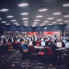 Vida Eterna [LP] - VINYL