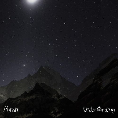 Understanding [LP] - VINYL