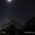 Understanding [LP] - VINYL