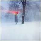 Fixed Rope [LP] - VINYL