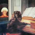 Soft Hell [LP] - VINYL