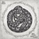 When the Fire is Dead In the Grate [12 inch Vinyl Single]