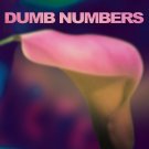 Dumb Numbers [LP] - VINYL