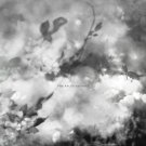 The Recognitions [LP] - VINYL