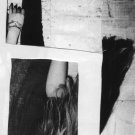 The Feeling [LP] - VINYL