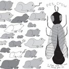 A Simple Guide to Small and Medium Pond Life [LP] - VINYL