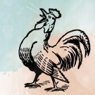 Bonjour Poulet [LP] - VINYL