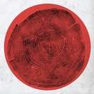 Q: Transient Global Amnesia [LP] - VINYL