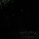 Dark Skies [LP] - VINYL