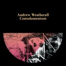 Consolamentum [LP] - VINYL