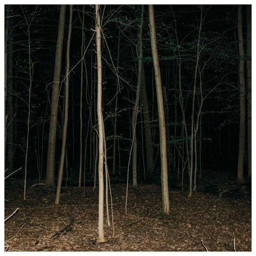 Fixed Rope 2 [LP] - VINYL