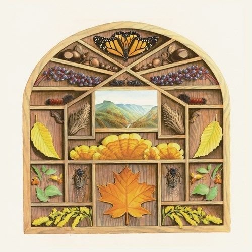 Field Guide [LP] - VINYL