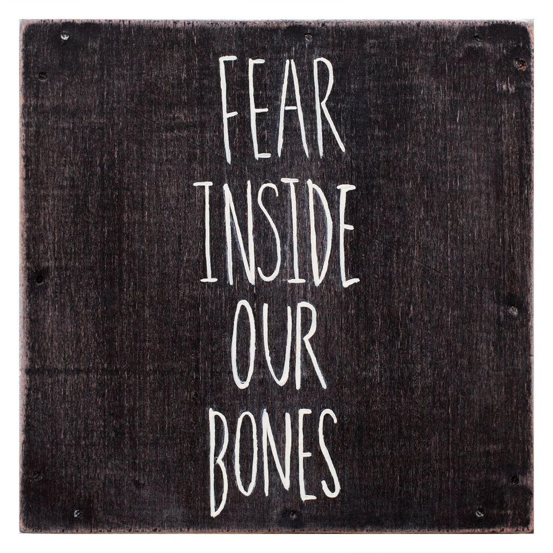 Fear Inside Our Bones [LP] - VINYL