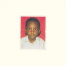 Joy Comes in Spirit [LP] - VINYL