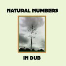 Natural Numbers In Dub [LP] - VINYL