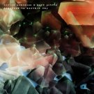 Tomorrow Is Another Day [LP/CD] [LP] - VINYL