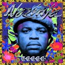 Nozinja Lodge [LP] - VINYL