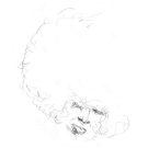 Sallow/Pine [12 inch Vinyl Single]