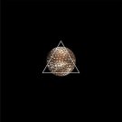 Audio Track 5 [12 inch Vinyl Single]