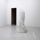 L1 [12 inch Vinyl Single]