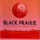 A Tear in the Eye Is a Wound in the Heart [LP] - VINYL