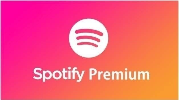 spotify gift card 1 year