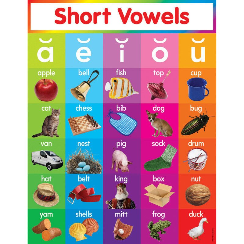 Short Vowels Chart