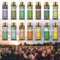 100% Pure Natural Aromatherapy Essential Oil 10ml Fragrance Aroma Essential-Oil,