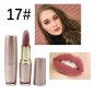 Lipsticks Matte Lipstick Women Makeup Lip Makeup Lip Gloss Cosmetic Sexy