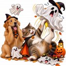 Cat vs Ghost: Halloween Playtime Gone Totally Wild