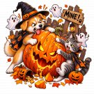 Dog and Cat Fight Over One Giant Halloween Pumpkin