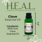 H.E.A.L.'s Essential Oils - Clove 1 oz