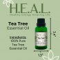 H.E.A.L.'s Essential Oils - Tea Tree 1 oz