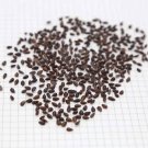 Ephedra sinica / cao ma huang / ma huang