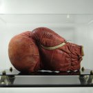 Boxing Glove Display Case HORIZONTAL with two-tier black acrylic base