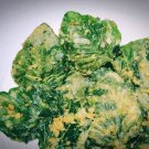 spinach chips