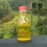 bmjjabar