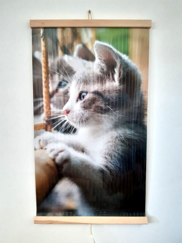 Infrared Heater Image Flexible Wall-Hung Heating Panel ECONOMY Picture CAT